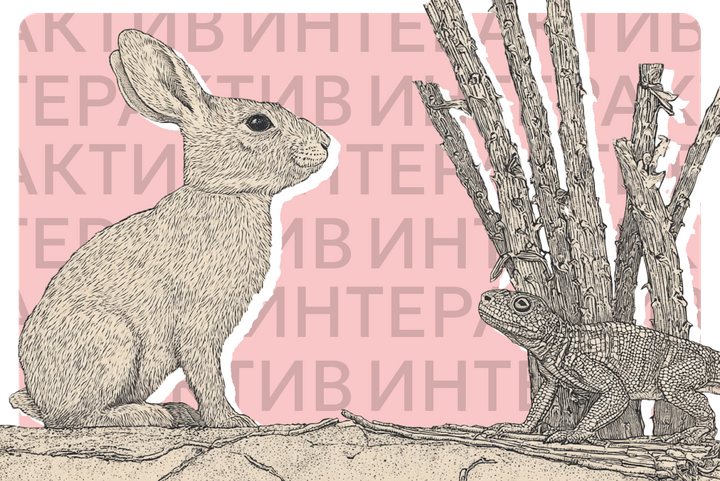 Какой у вас скрытый стиль стресса? Тест на тип поведения в критической ситуации