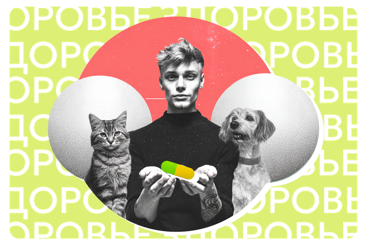 Продажи важного ветпрепарата могут ограничить из-за дурного увлечения зумеров. Что происходит