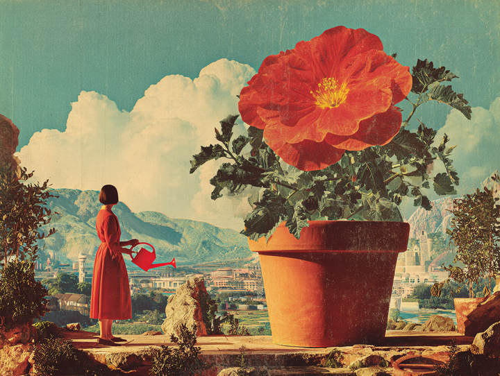 Что изменится с 1 марта: штрафы за борщевик для всех, блокировки в онлайн-кинотеатрах и еще 10 нововведений